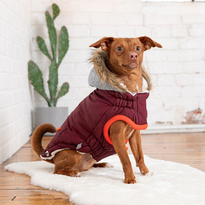 Winter Sailor Parka - Burgundy: Stylish Warmth for Every Walk Beige Antigone