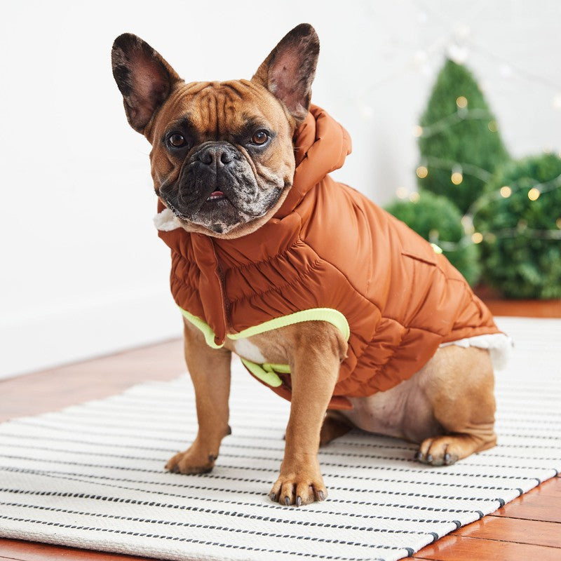 The Puff Parka - Hazel: Warmth and Style for Dogs Beige Antigone