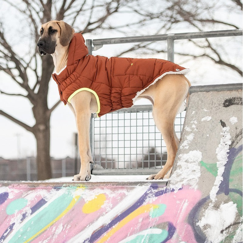 The Puff Parka - Hazel: Warmth and Style for Dogs Beige Antigone