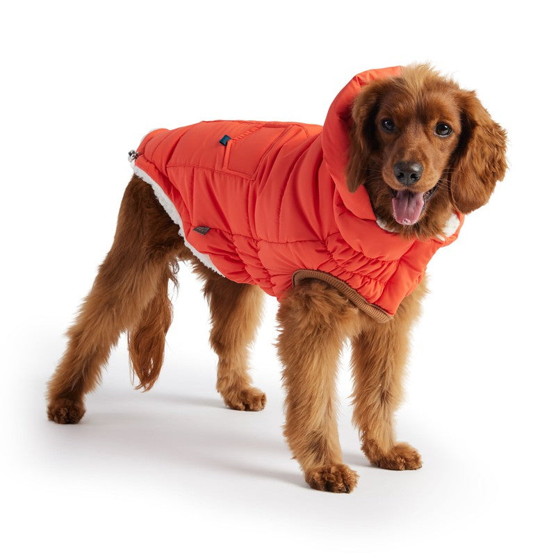 The Puff Parka - Orange: Cozy Warmth for Stylish Dogs Beige Antigone