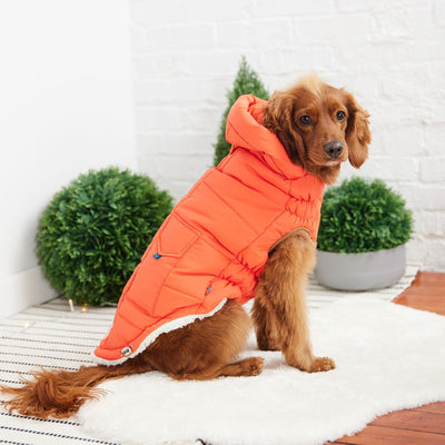 The Puff Parka - Orange: Cozy Warmth for Stylish Dogs Beige Antigone