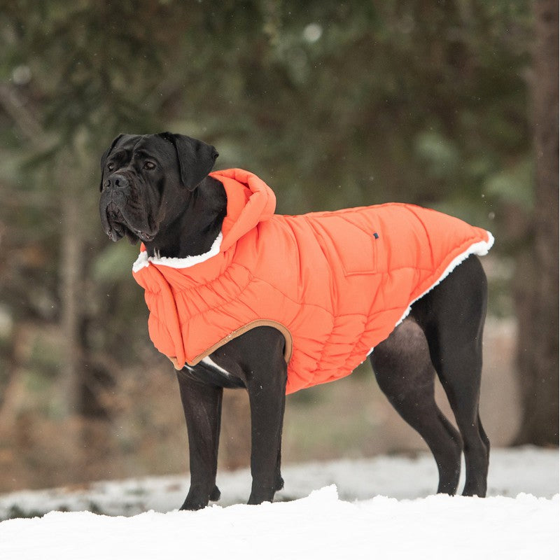 The Puff Parka - Orange: Cozy Warmth for Stylish Dogs Beige Antigone