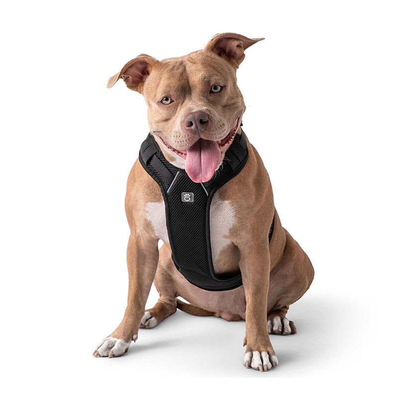 Travel Harness - Black: Safe, Comfortable, and Adjustable Beige Antigone