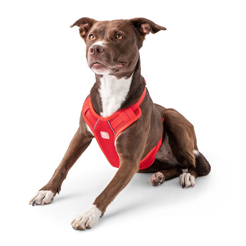 Travel Harness - Red: Secure Comfort for Your Dog Beige Antigone