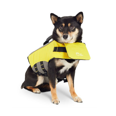 High-Buoyancy Dog Life Vest for Water Safety Beige Antigone