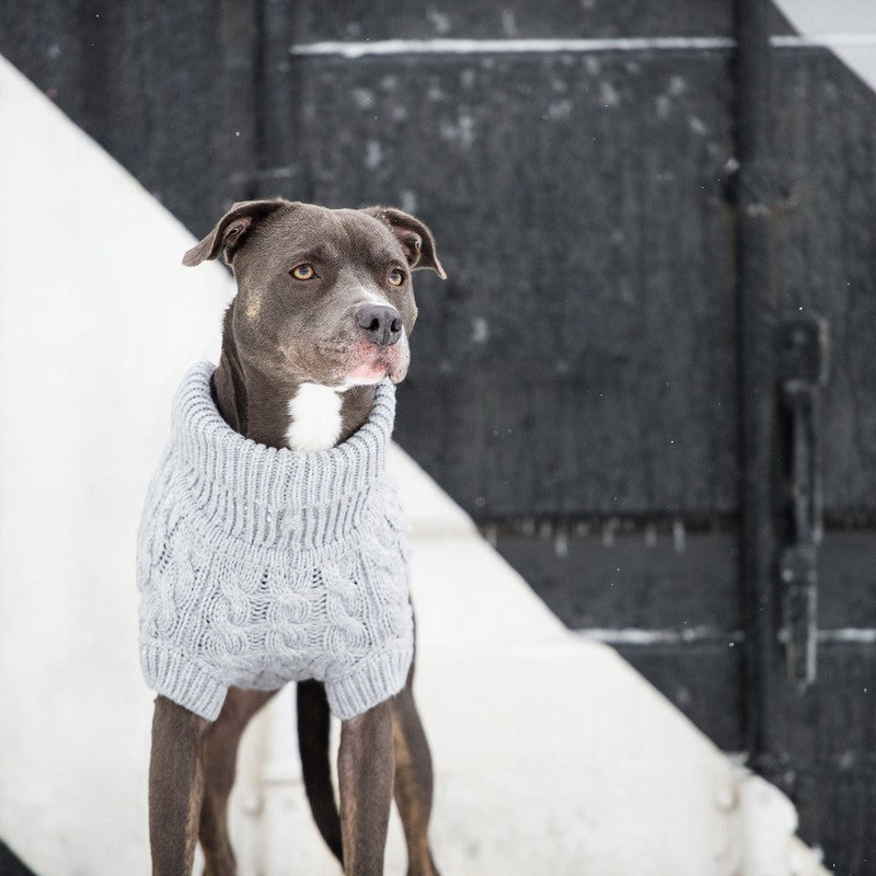 Chalet Sweater - Grey Cozy Cable Knit for Dogs Beige Antigone