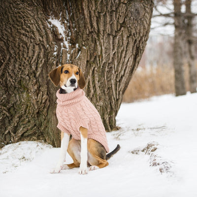 Chalet Sweater - Pink Chunky Knit for Cozy Canines Beige Antigone