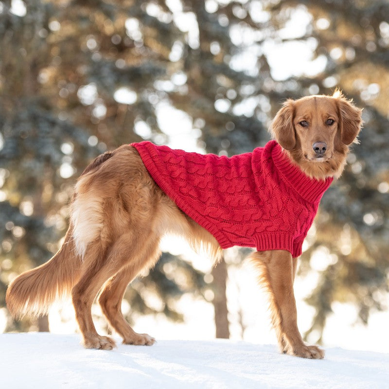 Chalet Sweater - Red Luxurious Knit for Stylish Dogs Beige Antigone