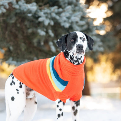 Alpine Sweater - Orange Retro Turtleneck for Stylish Dogs Beige Antigone