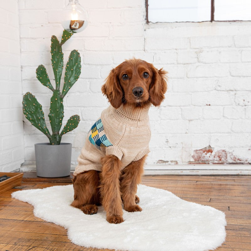 Winter Sailor Sweater - Oatmeal Mix: Stylish Warmth for Dogs Beige Antigone