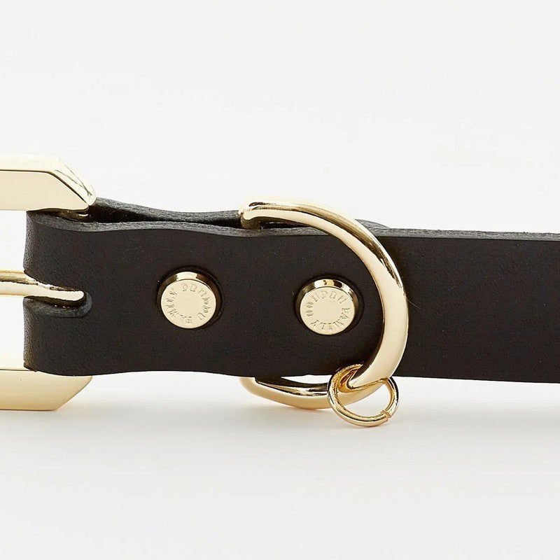 Golden Spike Black Collar Emerald Alfie