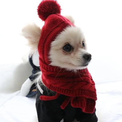 Hat for Dogs Winter Warm Stripes Knitted Hat+Scarf Collar Puppy Teddy Costume Christmas Clothes Santa Dog Costume Poochi Paws