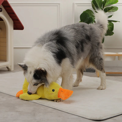 HOOPET Duck Chew Toy – Fun & Sound Interactive AliExpress