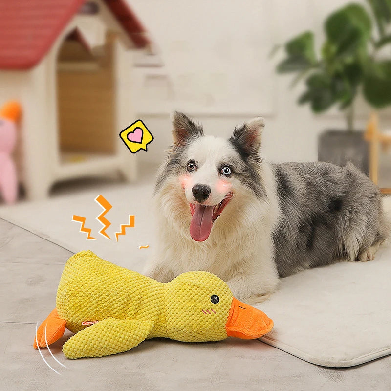 HOOPET Duck Chew Toy – Fun & Sound Interactive AliExpress