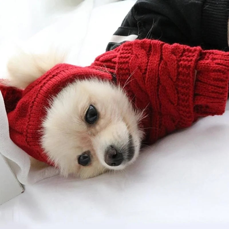 Hat for Dogs Winter Warm Stripes Knitted Hat+Scarf Collar Puppy Teddy Costume Christmas Clothes Santa Dog Costume Poochi Paws