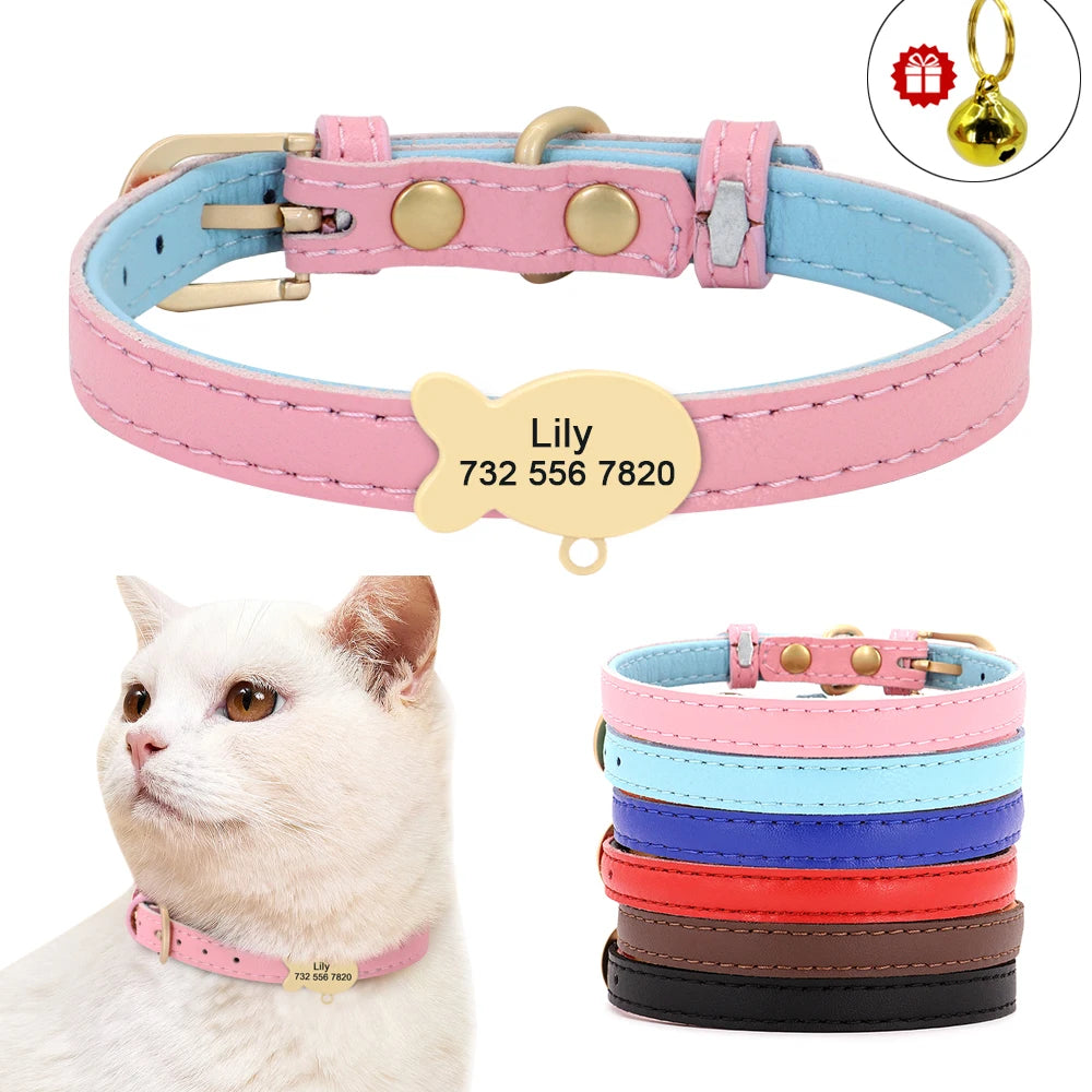 Personalized Cat ID Collar with Engraved Nameplate AliExpress