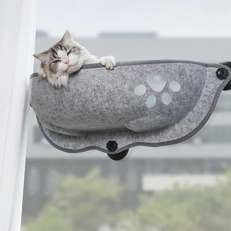 Cat Window Hammock with Suction Cups for Cats AliExpress