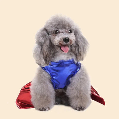 Halloween Cosplay Costume for Small & Medium Dogs AliExpress