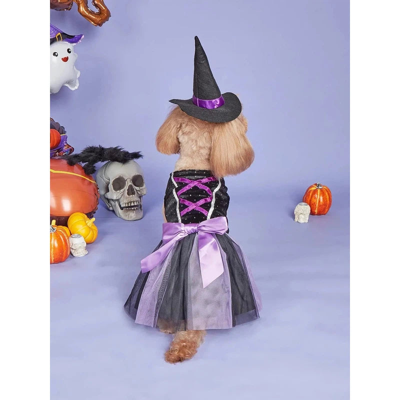 Halloween Dog Dress with Witch Hat – Festive Pet Costume AliExpress