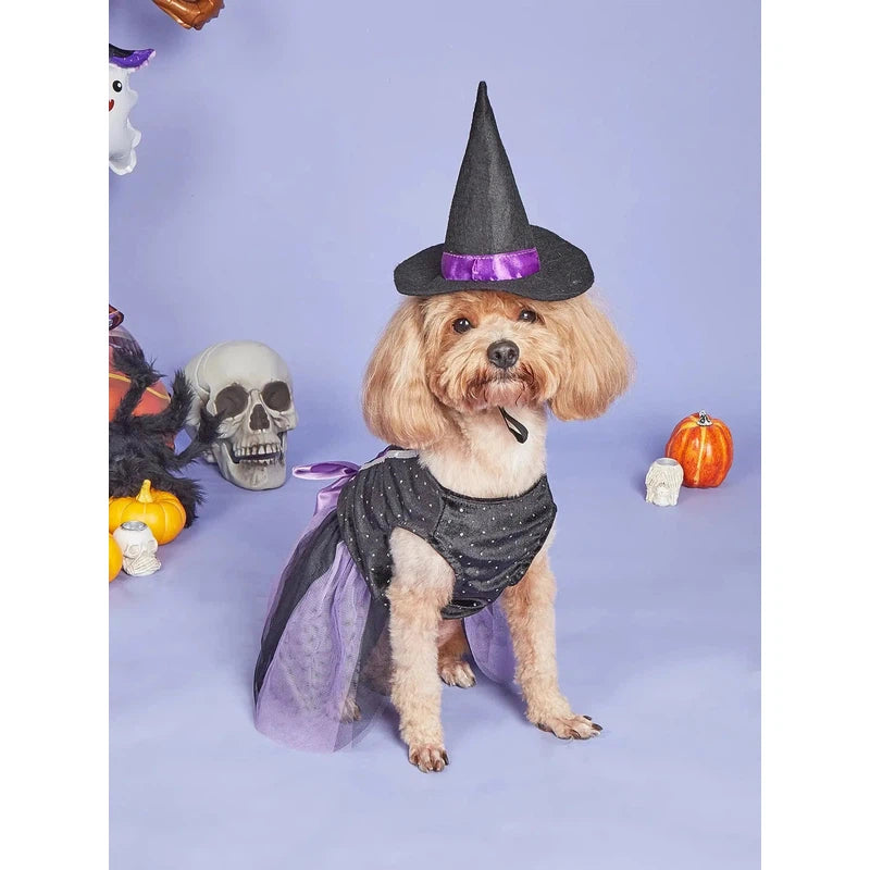 Halloween Dog Dress with Witch Hat – Festive Pet Costume AliExpress