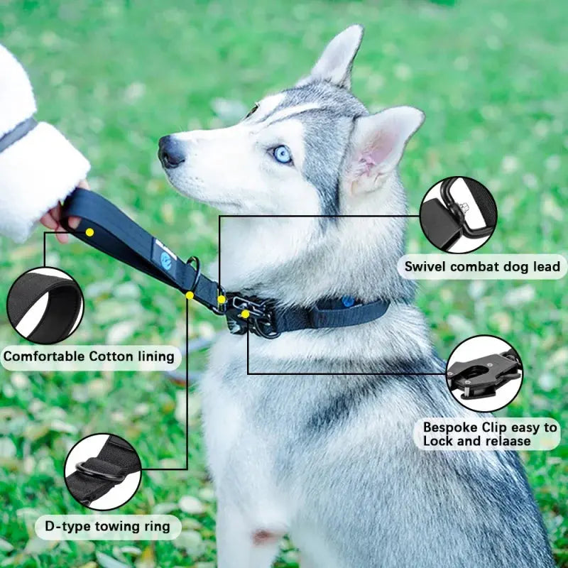 Heavy-Duty Nylon Dog Collar and Short Traffic Lead AliExpress