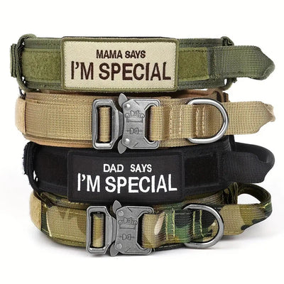 Heavy Duty Tactical Dog Collar with Handle AliExpress