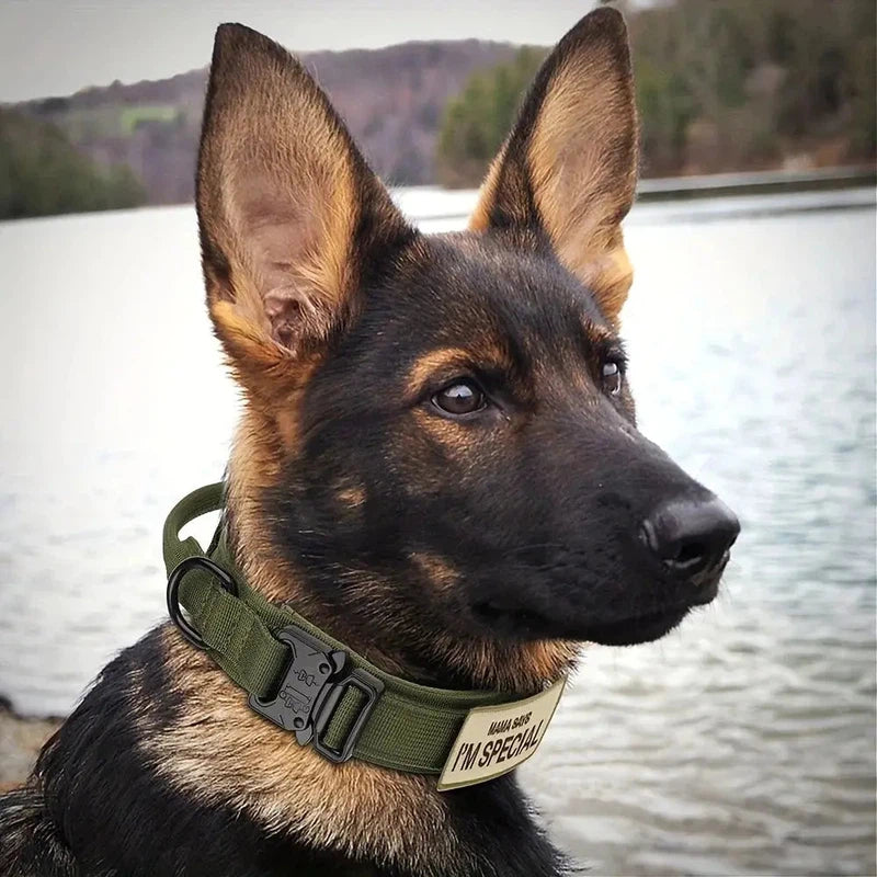 Heavy Duty Tactical Dog Collar with Handle AliExpress