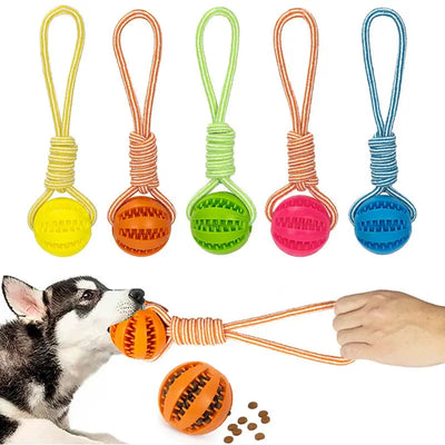 Interactive Dog Ball Toy with Rope for Training AliExpress