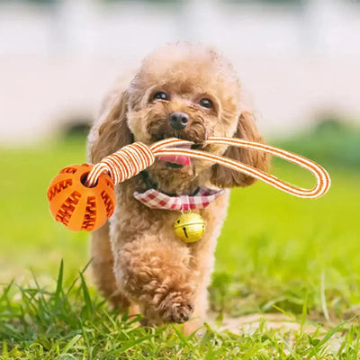 Interactive Dog Ball Toy with Rope for Training AliExpress