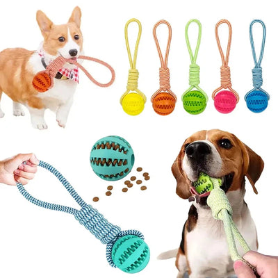 Interactive Dog Ball Toy with Rope for Training AliExpress