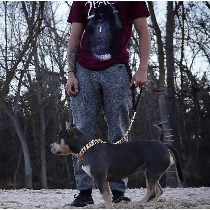 Kilo Cuban Link | Leash Almandine