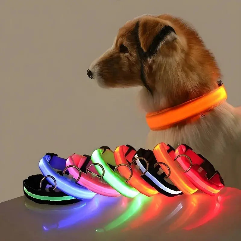 LED Glow Dog Collar Alidrop