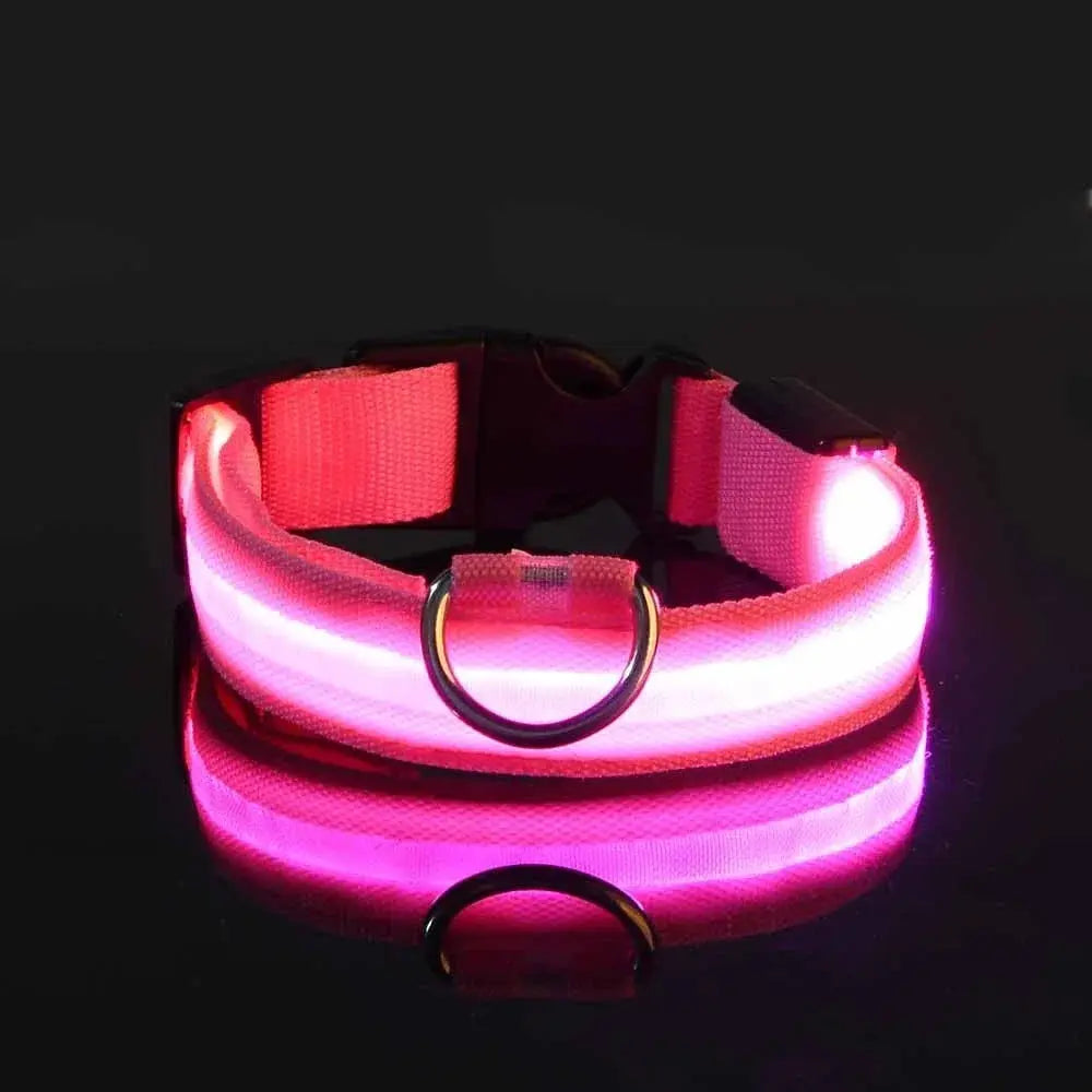 LED Glow Dog Collar Alidrop