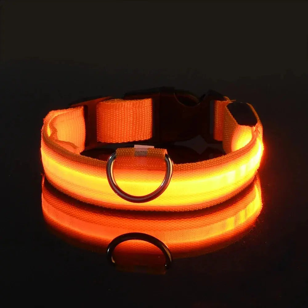 LED Glow Dog Collar Alidrop