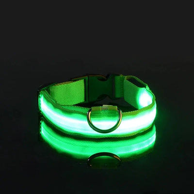 LED Glow Dog Collar Alidrop