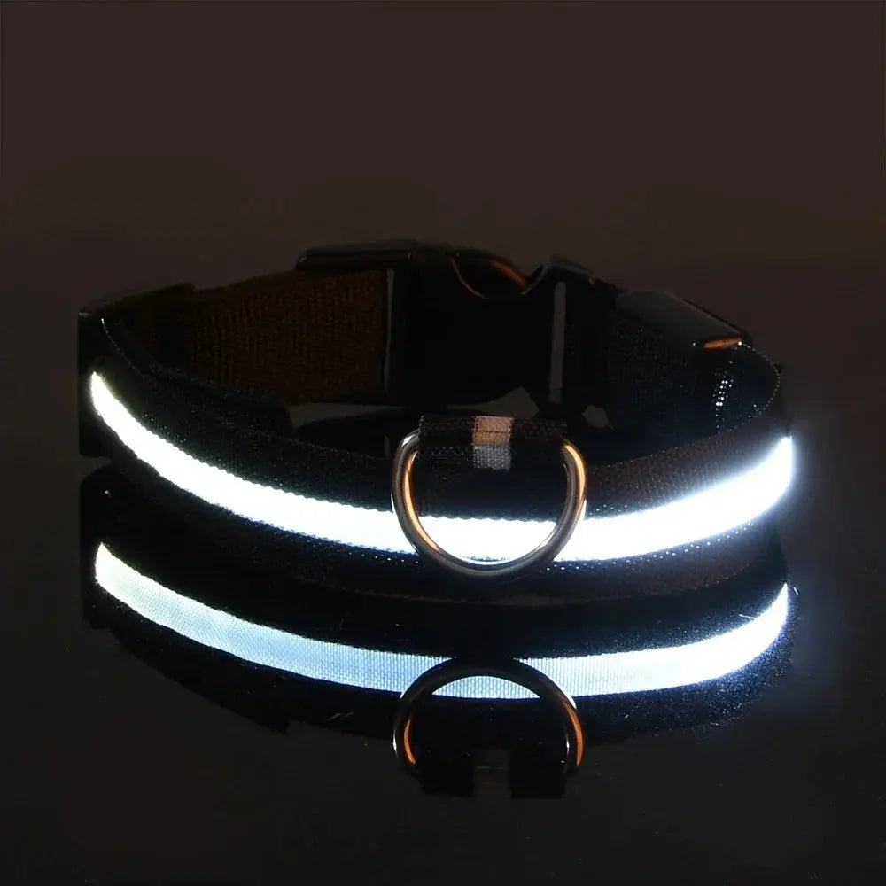 LED Glow Dog Collar Alidrop