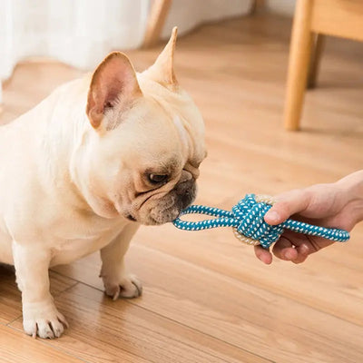 Mini Cotton Rope Dog Chew Toy – Dental Friendly AliExpress