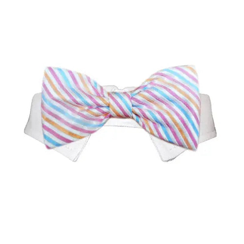 Morgan Bow Tie Lime Aeneas