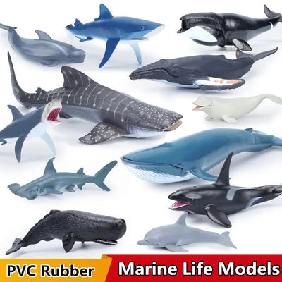 Ocean Animal Figurine Set – Educational Marine Models AliExpress