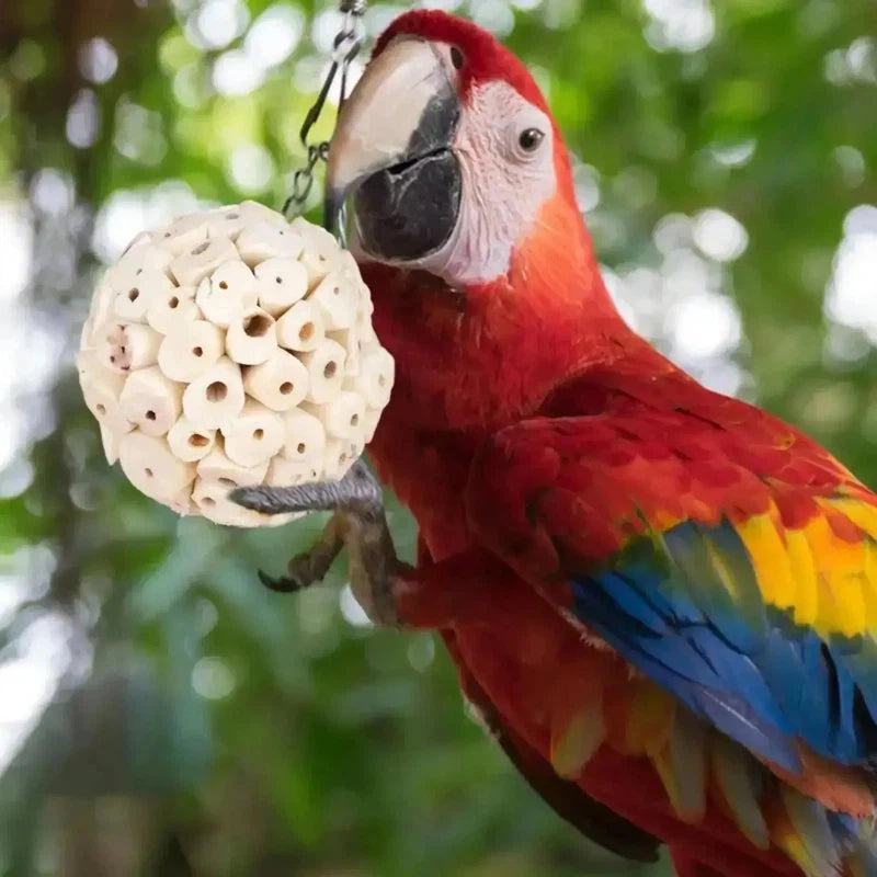 Parrot Chew and Foraging Ball Toy for Birds AliExpress