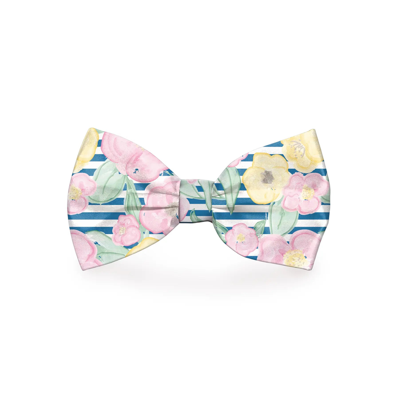 Preppy Pet Floral Dog Bow Tie Plum Semele