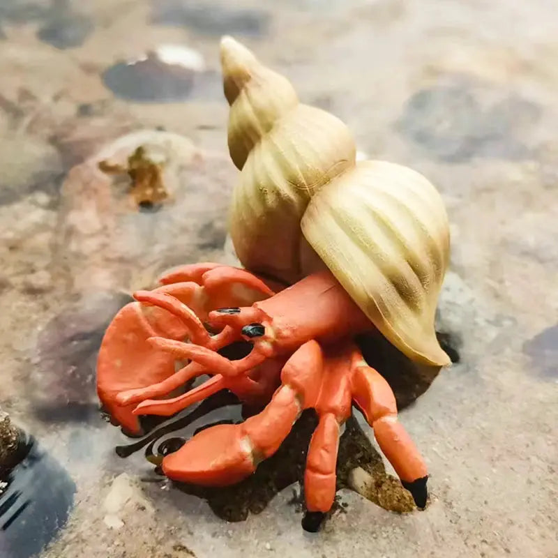 Realistic Ocean Animal Figurines - Hermit Crab to Octopus AliExpress