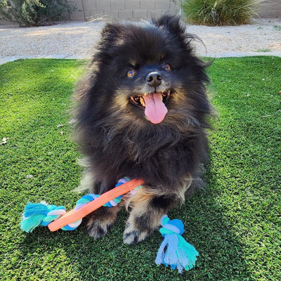 Rubber Bone Dog Chew Toy with Tug Rope -- Great for Active Dogs Tan Sam