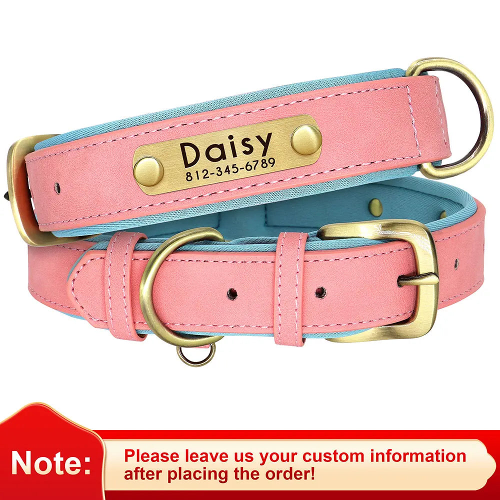 Custom Leather Dog ID Collar