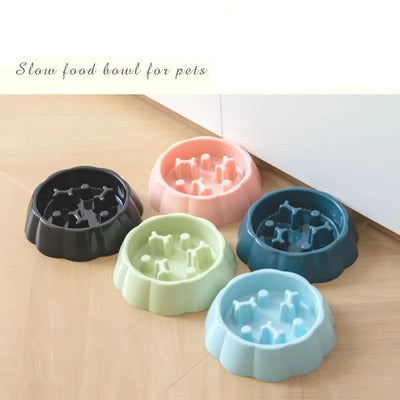 Anti-Choking Slow Feeder Bowl for Cats & Dogs AliExpress