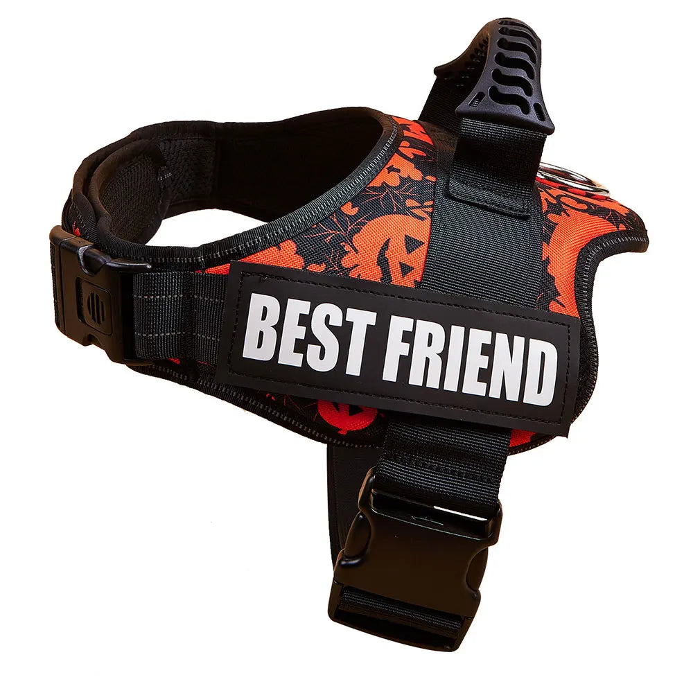 Customizable Luxury Dog Harness