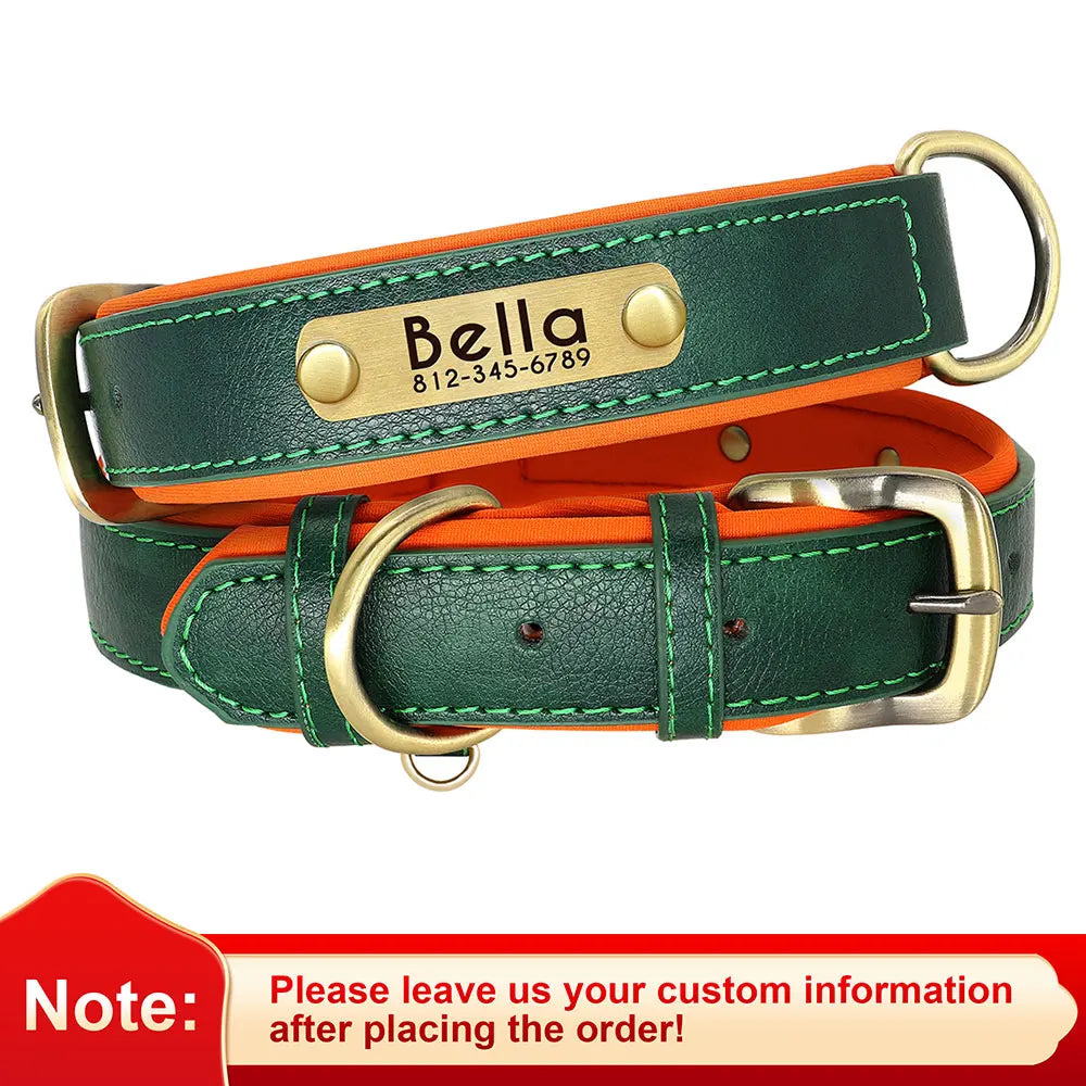 Custom Leather Dog ID Collar