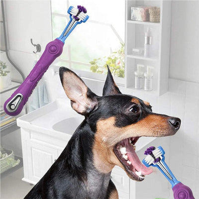 Three-Sided Pet Toothbrush