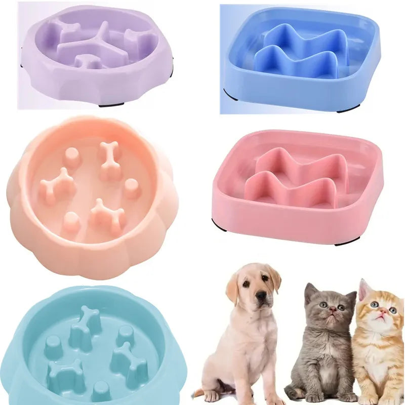 Anti-Choking Slow Feeder Bowl for Cats & Dogs AliExpress