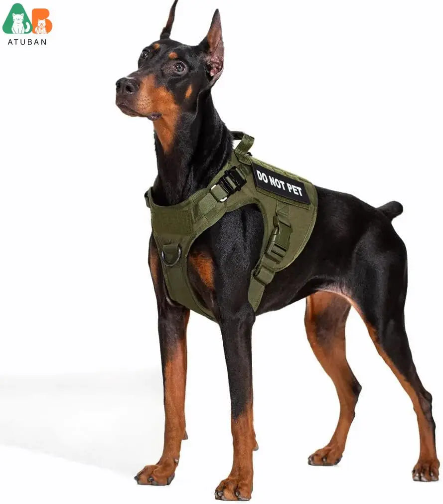 Tactical Dog Training Harness